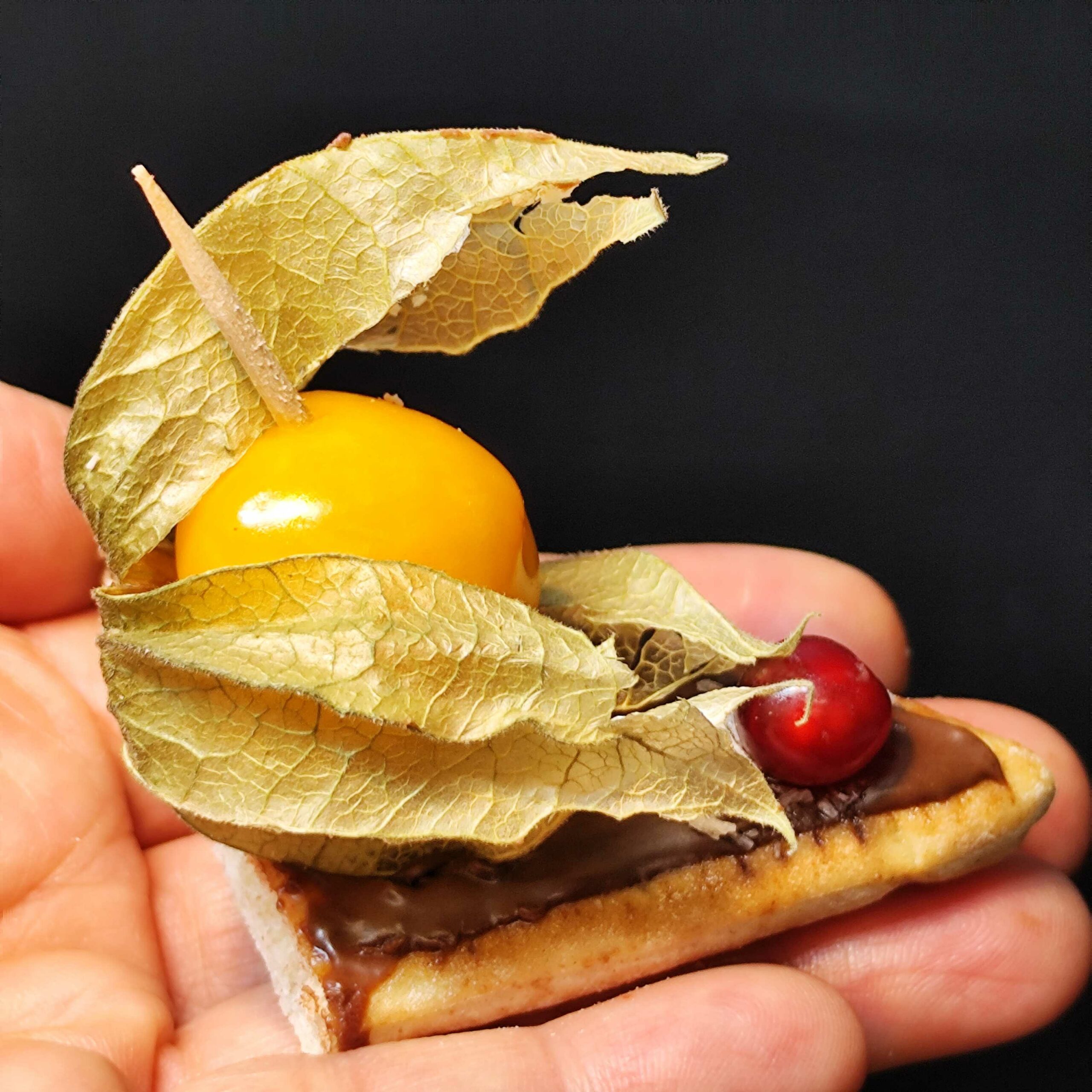 <strong>PLAISIR CHOCOLAT COCO<br><br>Pate à tartiner au Chocolat bio • Noix de coco • Fromage blanc • Fruits frais <br><br><i>Gourmand & Fondant</i></strong><br><br>10-20 pers : 56€ <br> 54€ > 2 unités <br> 52€ > 3 unités – Image 6